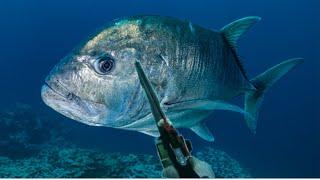 MONSTER GIANT TREVALLY  || SPEARFISHING PHILIPPINES || CATCH SELL N' COOK! BANTON ROMBLON