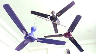 Ceiling fan comparison USHA fan vs Candes or Crompton fan There are 3 fan together‼️