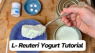 L  Reuteri Yogurt Tutorial