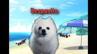 Despacito - gabe cover