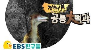 [EBS친구들][점박이 공룡대백과]공룡의 깃털[중화용조/에뮤/시조새/듕가]