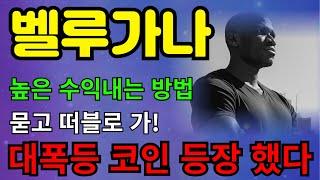 [벨루가나코인] 최고의 프리세일 밈코인에 투자하는 방법