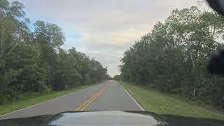 Everglades Abandoned Campground And Walking Trail Vlog