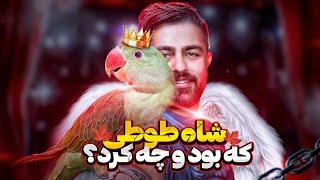 همه چیز درباره شاه طوطی ( طوطی اسکندر مقدونی ) || Alexanderine Parrot