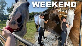 weekend riding vlog! + taking care of my horses