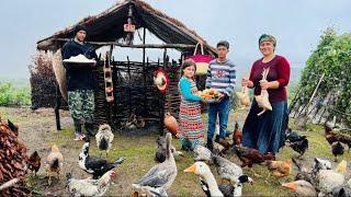 Nomadic Life in Iran: Daily Chores and Caring for Livestock