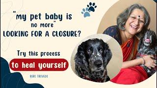 “My pet baby is no more” Looking for a closure? | Try this process to heal yourself.