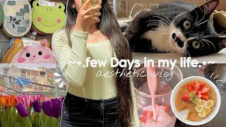 Days in my life in India  | Aesthetic vlog Indian | shopping, cooking , travel n more