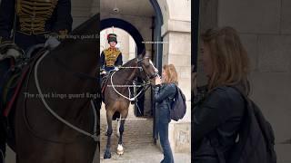 "Tourists Go Wild for the King's Troop Horse: A Viral Sensation of Fun and Adventure!” #Shorts