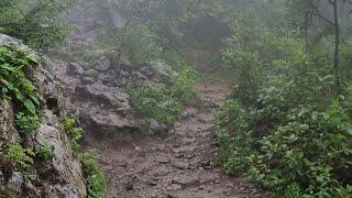 Hiking Track | Hike To Mushkpuri Top | 2022