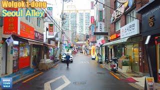 서울 골목 걷기 - 월곡1동 골목 (월곡동) 눈 오는 날 [성북구2]| Walk Seoul Korea - Wolgok 1-dong Alleys (Snowy) 23(2)-5 【4K】