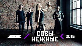 AGNIX — Совы нежные