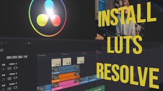 How To Install LUTs In DaVinci Resolve