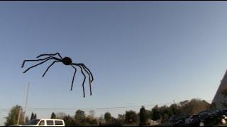 FLYING SPIDER PRANK! - Tom Mabe Halloween Pranks