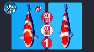 Koi TV | KoiHunt okt/nov 2024 deel 1