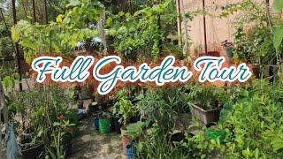 Full Garden Tour  After so long !!