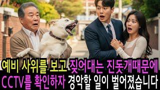 예비 사위를 보고 짖어대는 진돗개때문에 CCTV를 확인하자 경악할 일이 벌어졌습니다 감동 실화 사연 오디오북