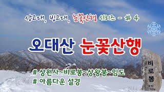 폭설 내린 오대산 눈꽃산행 [GPX] : 상원사-비로봉-상왕봉 등산코스 / 상고대 산행 시리스 #4 / 블랙야크 명산100 / 산림청 100대명산 / 겨울에 가볼만한 산