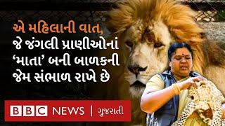 Animal love : એ મહિલાની વાત; જેઓ સિંહ, વાઘ અને દીપડા માટે 'માતા' જેવાં છે