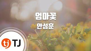 [TJ노래방] 엄마꽃 - 안성훈 / TJ Karaoke