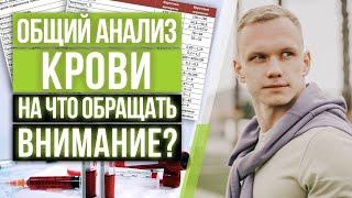 Общий анализ крови — расшифровка результатов / Что показывает общий анализ крови?