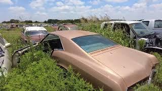 Browne Auto Salvage - Sunset, Texas...  Thousands of Classic American Cars !!