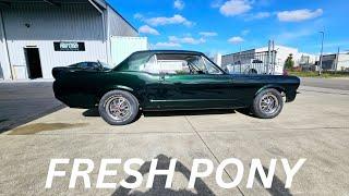 PRANGED MUSTANG RESPRAY