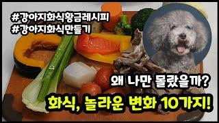 강아지 화식 자연식 후 놀라운 변화 10가지! 그리고 강아지가 반드시 먹여야 할 채소, 야채 12가지#강아지화식 #강아지야채 #강아지채소 【#짱아까미화식 8번째 이야기】