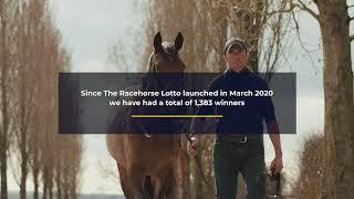 Racehorse Lotto - The Story So Far