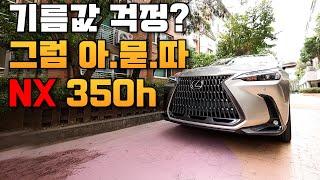 [차볼게요] X3? GLC? GV70? 연비하나로 발라버리는 NX 350h