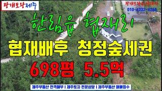 122. [제주도토지] 협재해수욕장 배후 주거밀집지역 숲세권에 소재한 전원주택부지 & 펜션부지ㅣ전면도로를 따라 길게 접해 분할용이 ㅣ광개토왕공인중개사 010-6232-6260