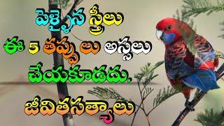 జీవిత సత్యాలు #347 |మంచి మాటలు|Inspirational quotes|Motivational quotes|సూక్తులు|Telugu quotes