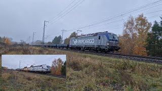 Bahnverkehr in Berlin-Wuhlheide am 12.11.2024 mit NEB Mireo und viel Güterverkehr