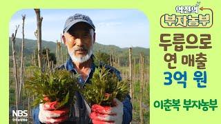 [역전의부자농부 299회] 두릅으로 연 매출 3억 원! 전남 보성 이춘복 부자농부