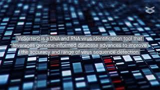 VirSorter2: A new approach to detect diverse DNA and RNA viruses