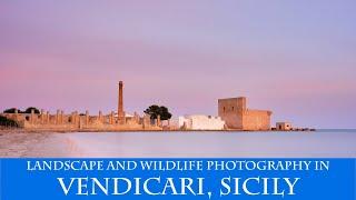 Seascape and Wildlife Photography in Vendicari, Sicily