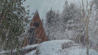 【白噪音】聆聽冬季山林風聲和下雪的聲音丨適合放鬆入睡丨學習丨冥想環境音丨治癒耳鳴焦慮丨ptsd丨催眠曲丨憂鬱症丨BGM【the sound of snow】