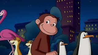 Georges le Petit Singe  Curious George et l'éléphant de compagnie ?  Dessins Animés