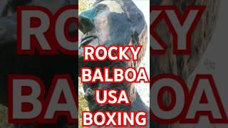 ROCKY BALBOA USA BOXING