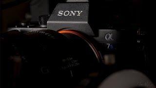 My Sony a7S III Predictions