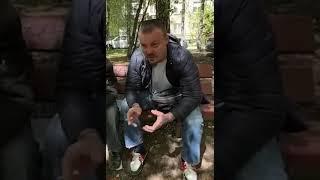 Сергей Симонов (Канал Добра и Позитива)