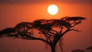 Free for all: By Nick Nolan - ANTM Song