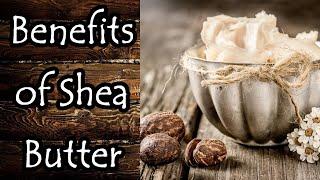 The Benefits of Shea Butter