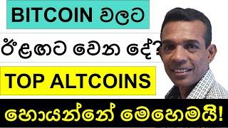 BITCOIN වලට ඊළඟට වෙන දේ! | TOP ALTCOINS හොයන්නේ මෙහෙමයි!