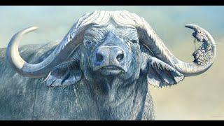 Warrior - Cape Buffalo Painting by Ben Waddams Wildlife Art
