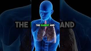 The Power of Your Breathing that help Respiratory System! Watch this and Thank Me later