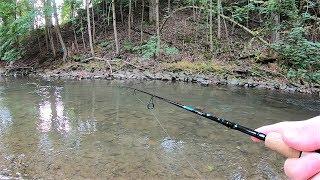 TROUT Fishing TIPS - Trout Fishing with Spinners in Creeks & Streams