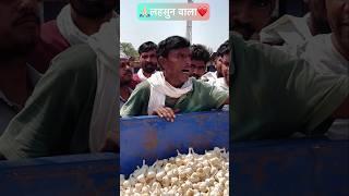 लहसुन वाला | Aaj Ka Lahsun Ka Bhav | Garlic Rate Today | Chhipabarod Mandi #lahsun