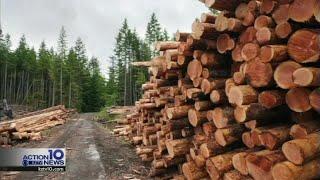 DWYM: Lumber prices tumble, but houses aren't any cheaper