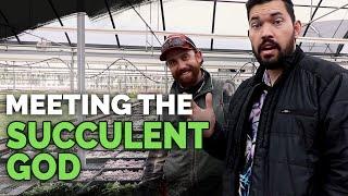 Secret Succulent Care Tips From a Master Succulent Grower